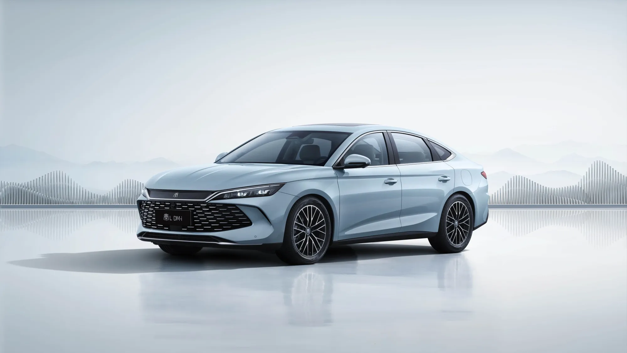 new byd - изображение 2
